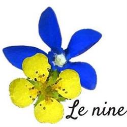 Erboristeria/Centro Olistico Le Nine