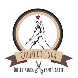 Toelettatura Colpo di Coda di Fabbri Elisa