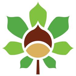 Azienda Agricola Il Castagno
