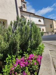 Holiday Home "Casa Zefìra"