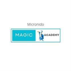 Magic Academy