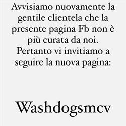 Wash Dog Santa Maria Capua Vetere