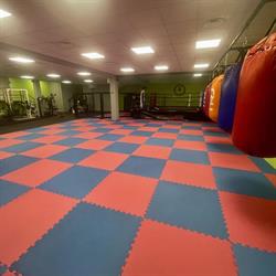 Ultimate Arena Fight & Fit
