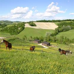 Centro Equestre La Contea