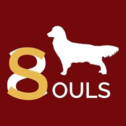ALLEVAMENTO EIGHT SOULS Golden Retriever