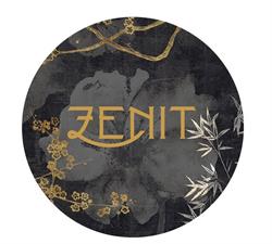 Hotel Zenit