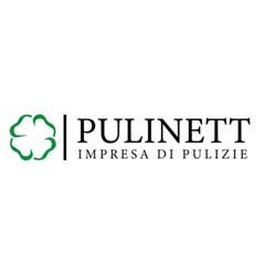 Pulinett