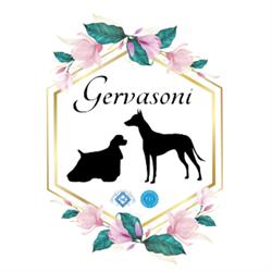 Allevamento Gervasoni