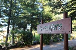 Le Conifere Casa Vacanze