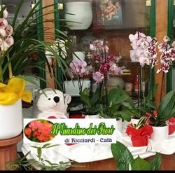 Il Giardino Dei Fiori Acquedolci