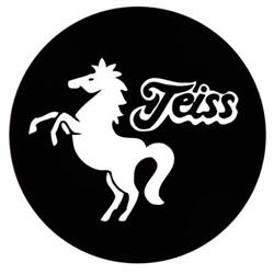 Bar Bistro TEISS