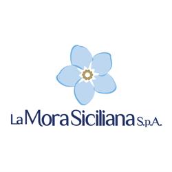 La Mora Siciliana S.p.A