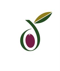 Credo - Olio Extra Vergine d'Oliva
