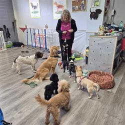 Dogtrainingroma