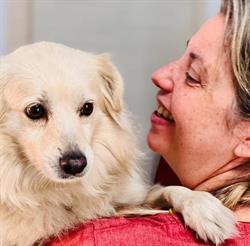 Ambulatorio Veterinario Althea