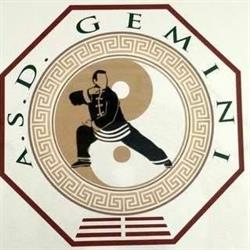 Asd Gemini Terni, latino americani, Taijiquan stile Chen Xiaojia, kung fu,Sanda, yoga