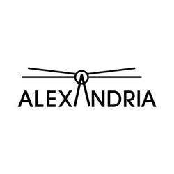 Bingo Alexandria