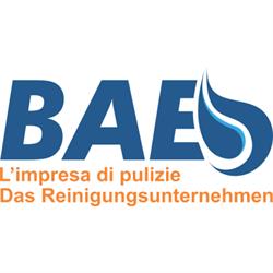 Bae Pulizie