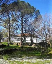 Villa Irene Vagliasindi Etna