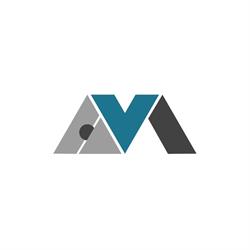AVM Pro