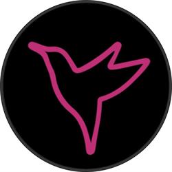 Colibrì