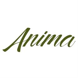 Anima Ristorante Roma