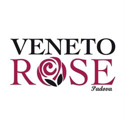 Veneto Rose Srl Padova