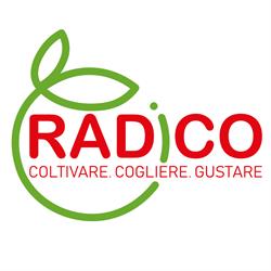 Radico Cash&Carry