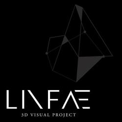 Linfae 3d Visual Project