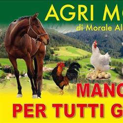 AGRI-MORALE DI ALESSANDRO MORALE BOMBOLE A GAS - MANGIMI.