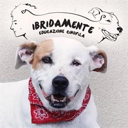 ibridaMente - Pensione e Asilo per Cani - addestramento - educatore cinofilo