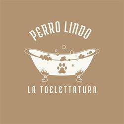 Perro Lindo - La toelettatura