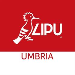 Lipu Umbria