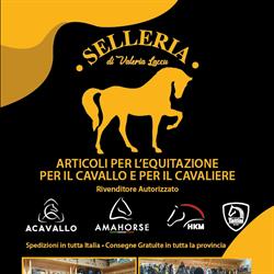 Edicola e Selleria di Valeria Laccu - Ilico Point Luogosanto