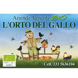 L’ORTO DEL GALLO