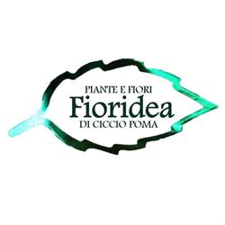 Fioridea di Ciccio Poma