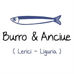 Burro & Anciue