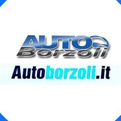 Auto Borzoli