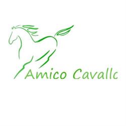 Amico Cavallo