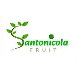 Santonicola Fruit
