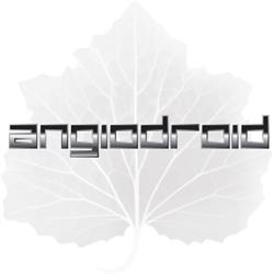 Angiodroid SpA