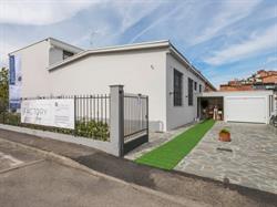 FACTORY Shop - Giorgia Zamponi