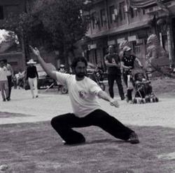 Tai chi Long xin taiji quan