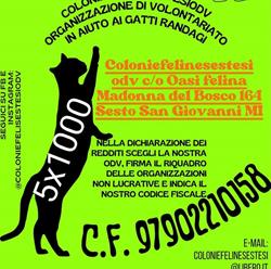 Oasi Felina della Madonna del Bosco