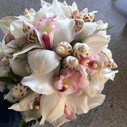 Fiori Chiapparo