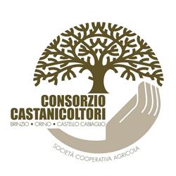 Consorzio Castanicoltori di Brinzio, Orino e Castello Cabiaglio