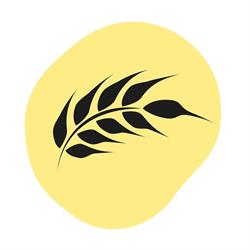 Panificio Fior di Pane - Corigliano d'Otranto