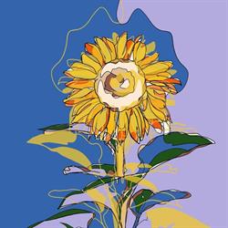 Frutteria Girasole