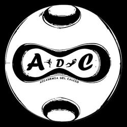 L'ACCADEMIA DEL CALCIO