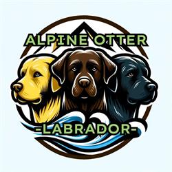 Pensione per cani Megan & Co e Allevamento Labrador Alpine otter